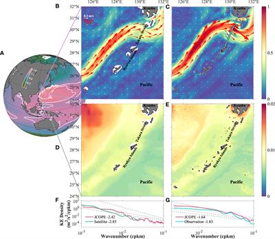 Submesoscale dynamics accompanying the Kuroshio in the East China Sea